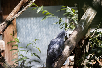 bird on a branch