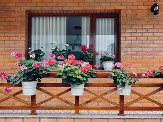 Fototapeta na wymiar Glass window with many flowers