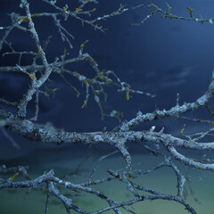 Floral blue night background with moss tree branches