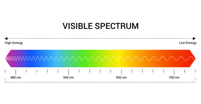 Spectrum wavelength. Visible spectrum color range. Educational physics light line. Wavelengths of the visible part of the spectrum for human eyes