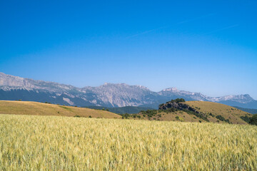 Grenoble, cityscape image of Grenoble and the Alps , France 