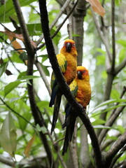 Conservation of wild animals from nature that are endangered due to global warming and environmental pollution, exotic animals, animal parks in zoos