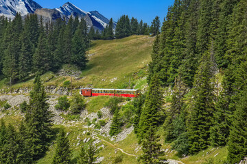 Fototapeta premium The Schynige Platte Railway is a mountain railway in the Bernese Highlands area of Switzerland