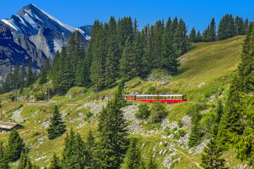 The Schynige Platte Railway is a mountain railway in the Bernese Highlands area of Switzerland