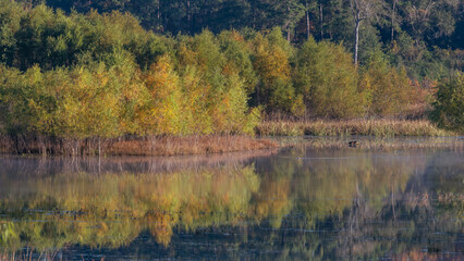 Fototapeta premium An early morning mist hangs over an East Texas pond where the autumn hued trees are reflected on the water.