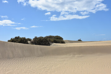Fototapeta na wymiar Scenic view of the sand dunes at Maspalomas