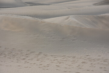 Scenic view of the sand dunes at Maspalomas
