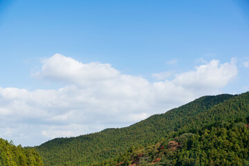 natural mountain range view with pine tree forest on the mountain under sunshine daytime with clear blue sky
