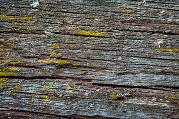 Herbeys, Isère, Rhône-Alpes, France, 20 11 2022 macro pictures, close up, of natural textures for graphic designers, wood, metal, stones