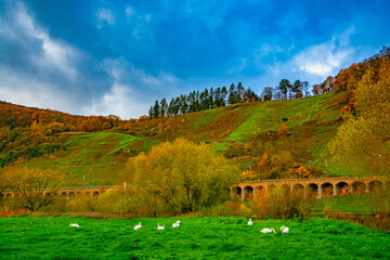 Kanonenbahn bei P&uuml;nderich