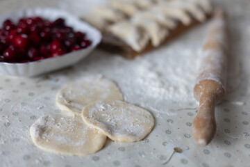 Dough pieces for making dumplings. Selective focus.