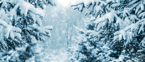 Winter forest with snow-covered fir trees during snowfall
