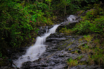 waterfalls in the lungs of the world