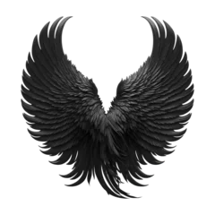 Fotobehang Black angel wing © vuang