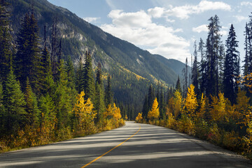 Fototapeta na wymiar Herbstliche Strasse Kanada