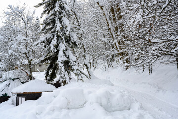 Houses are covered with snow up to the roof in the mountains in Abkhazia in winter