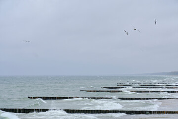 Soaring seagulls against a cloudy sky and choppy sea.