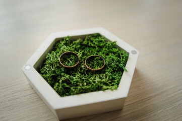 Two gold wedding rings on green moss in a white wooden box