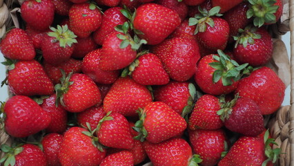 red juicy strawberries