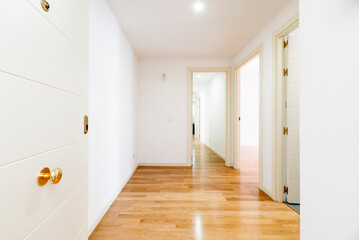 Hall and distributor of a house with armored access door, and access to rooms with white lacquered wooden doors and floating oak flooring and smooth white painted walls