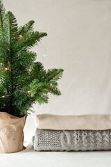 Minimalistic Christmas fir , spruce tree and a stack of winter cozy sweaters. Copy space.