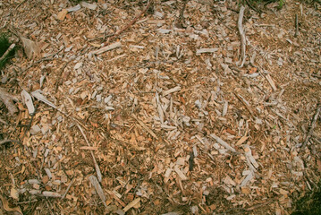 chips from felled trees - chips, as a by-product of felling trees