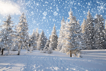 amazing winter landscape with snowy fir trees in the mountains