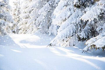 beautiful winter landscape with snowy fir trees