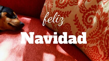 Animation of feliz navidad christmas greetings text over dog on red sofa - Powered by Adobe