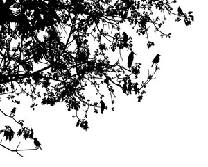 silhouette of a tree