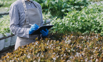 Futuristic businessman farms vegetables and crops using modern AI technology using mobile phones, temperature and humidity sensors, water tracking, climate control, holographic data data icons.