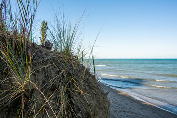 Dune grasses on beach, Pinery Provincial Park, Ontario