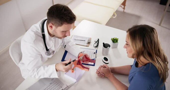Gynecology Uterus Reproductive Female Anatomy