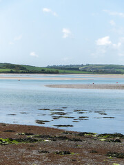 Sea shoal at low tide, seaside landscape, body of water.