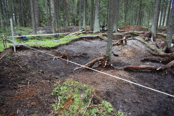 Fototapeta premium Archaeological excavations . In the 19th century, charcoal was harvested.