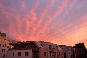 Beautiful pink and blue unusual feather clouds against the sky in sunrise and sunset. Scenic fantastic clouds. Landscape background, Сloudy storm weather, forecast. climate change, global warming