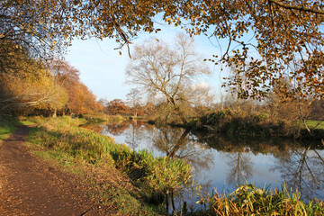 Fototapeta na wymiar Winter reflections on the River Wey in Guildford on a cold sunny day.