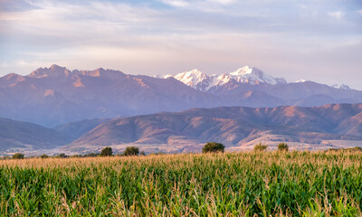 Fototapeta premium landscape with mountains