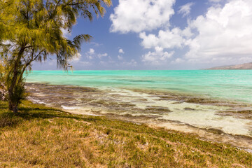 Filao sur une île tropicale au bord d'un lagon émeraude et turquoise à marée haute