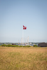 danish flag on the beach