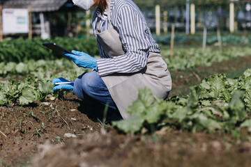 Futuristic businessman farms vegetables and crops using modern AI technology using mobile phones, temperature and humidity sensors, water tracking, climate control, holographic data data icons.