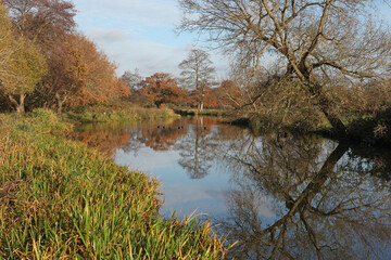 Fototapeta na wymiar Winter reflections on the River Wey in Guildford on a cold sunny day.