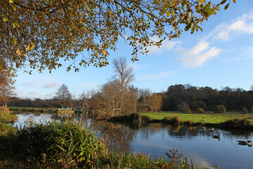 Obraz premium Winter reflections on the River Wey in Guildford on a cold sunny day.