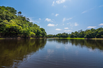 Fototapeta na wymiar Beautiful landscape of the Amazon Rainforest - Amazonas, Brazil