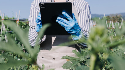 Futuristic businessman farms vegetables and crops using modern AI technology using mobile phones, temperature and humidity sensors, water tracking, climate control, holographic data data icons.