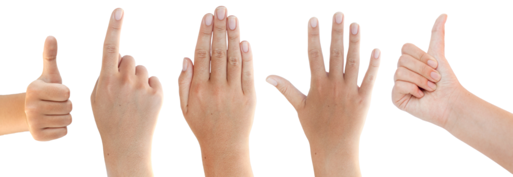 Hands with different gestures isolated, Hand, thumb, index, point, ok, one, open, closed, gesture, finger, touching, isolated, extending, pushing, touch, person, female, woman, beautiful
