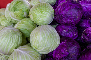 Fototapeta na wymiar Farmers Market Green and Purple Cabbage