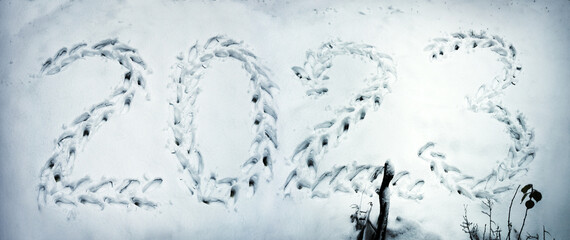 Fototapeta na wymiar Numerals of the new year trampled in the snow