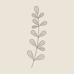 Hand Draw Floral Decoration Element