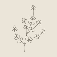 Hand Draw Floral Decoration Element